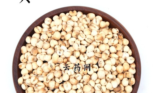 九菜子功能主治网—知名的九菜子有什么功效网站,分享九菜子功效知识